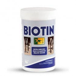 Biotina 1Kg