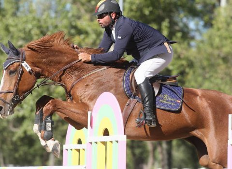 Campeonatos de España de caballos jóvenes y de productos nacionales   9 Octubre