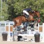Campeonatos de España de caballos jóvenes y de productos nacionales 